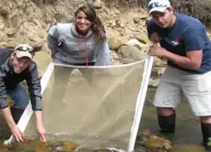 Conservation Projects