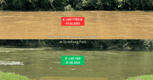 Two pictures of the same river with different colors.