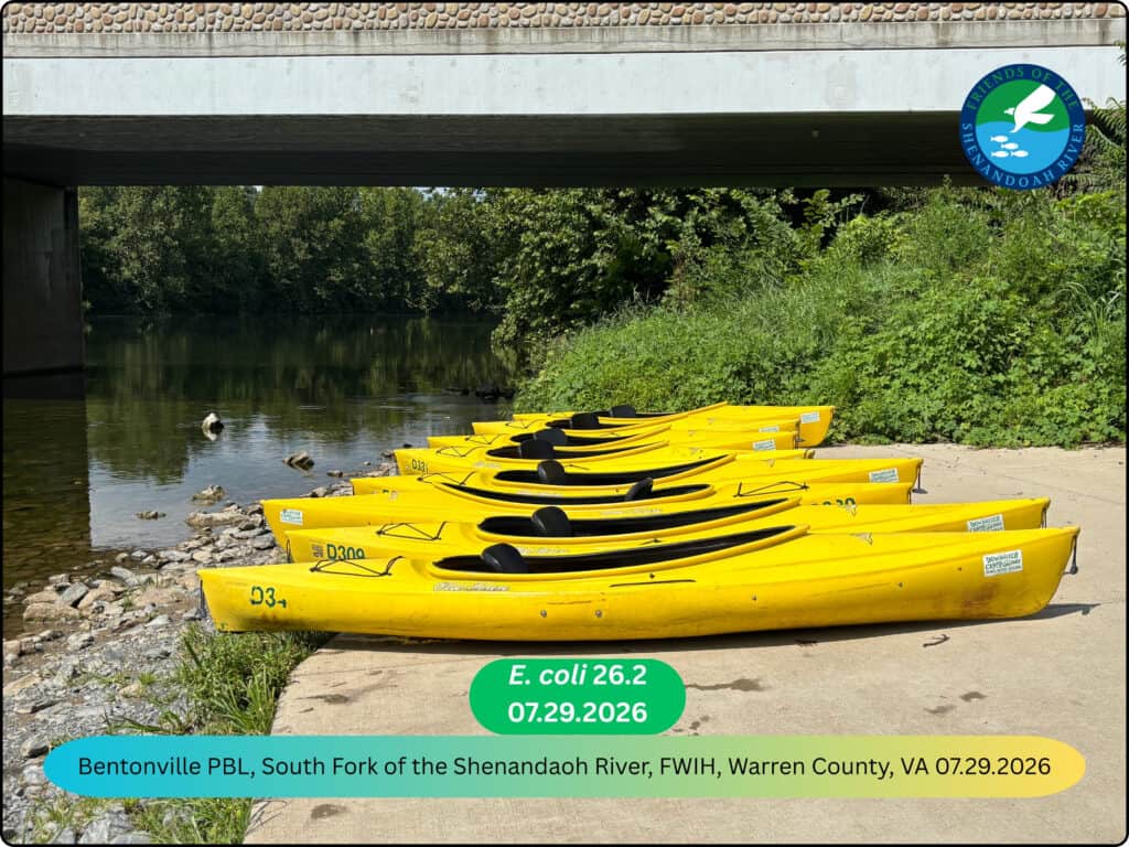Lined up and ready to ride the River!